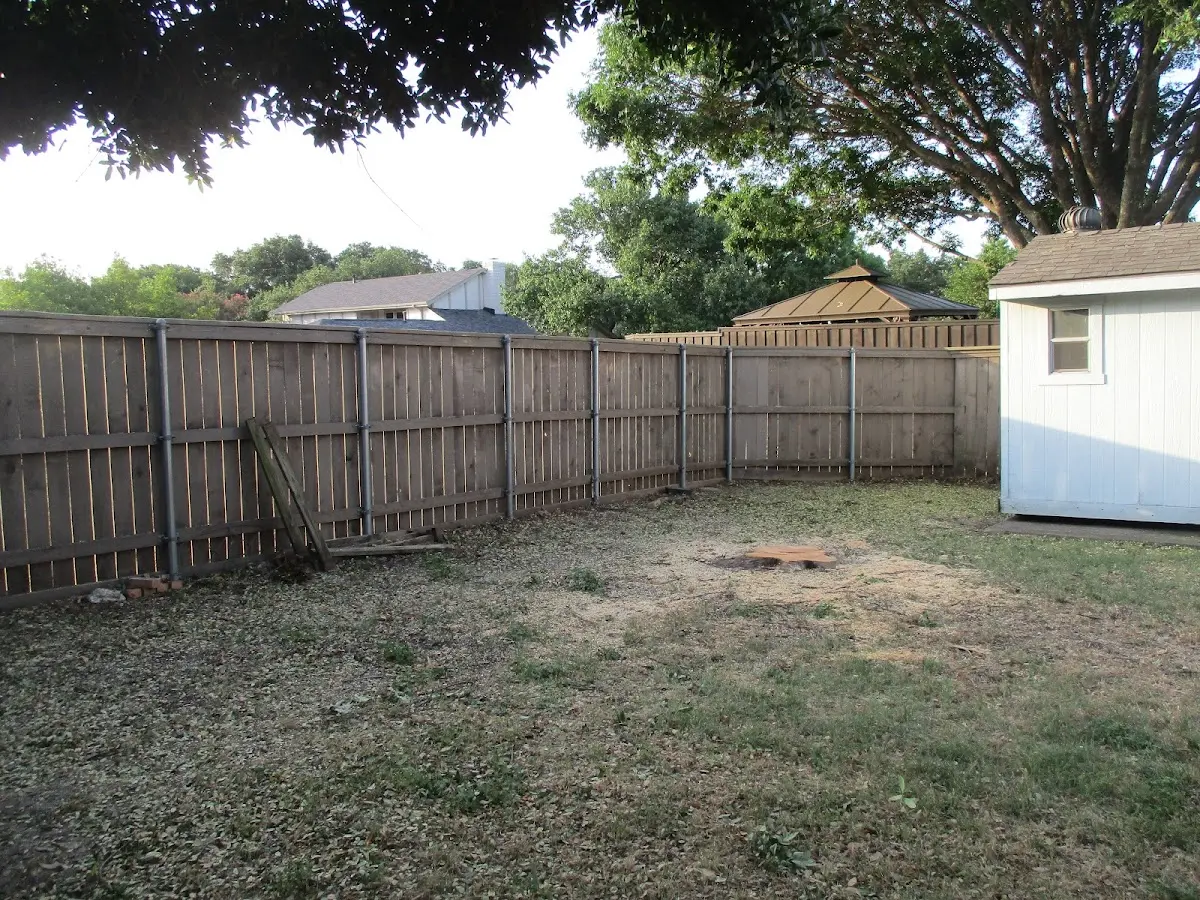 Cleared yard after professional tree removal in Goodfellow Afb